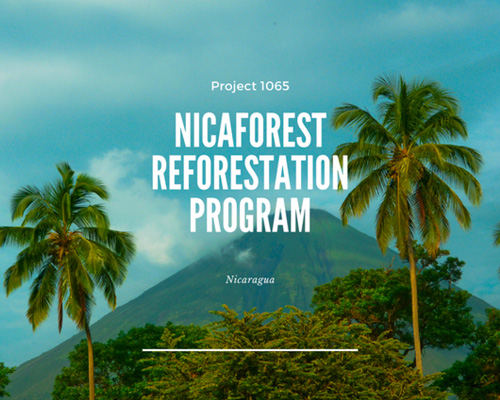 nicaforest-rainforest-program