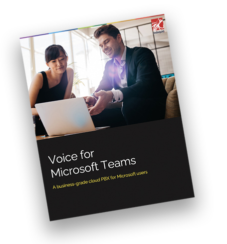 voice-for-teams-brochure